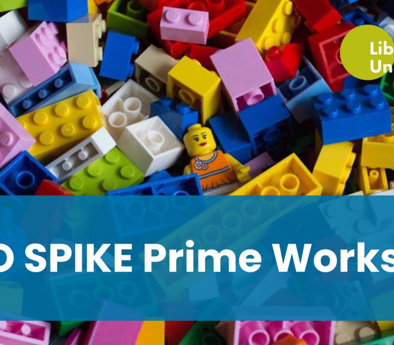 634766816_1335401215295033_9077075403833516504_n