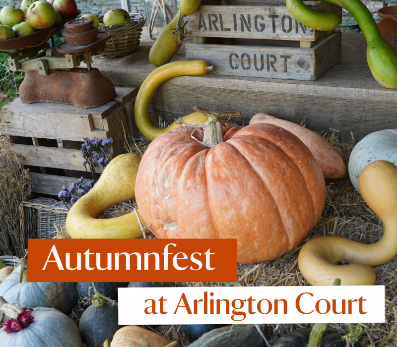 Autumnfest at Arlington Court