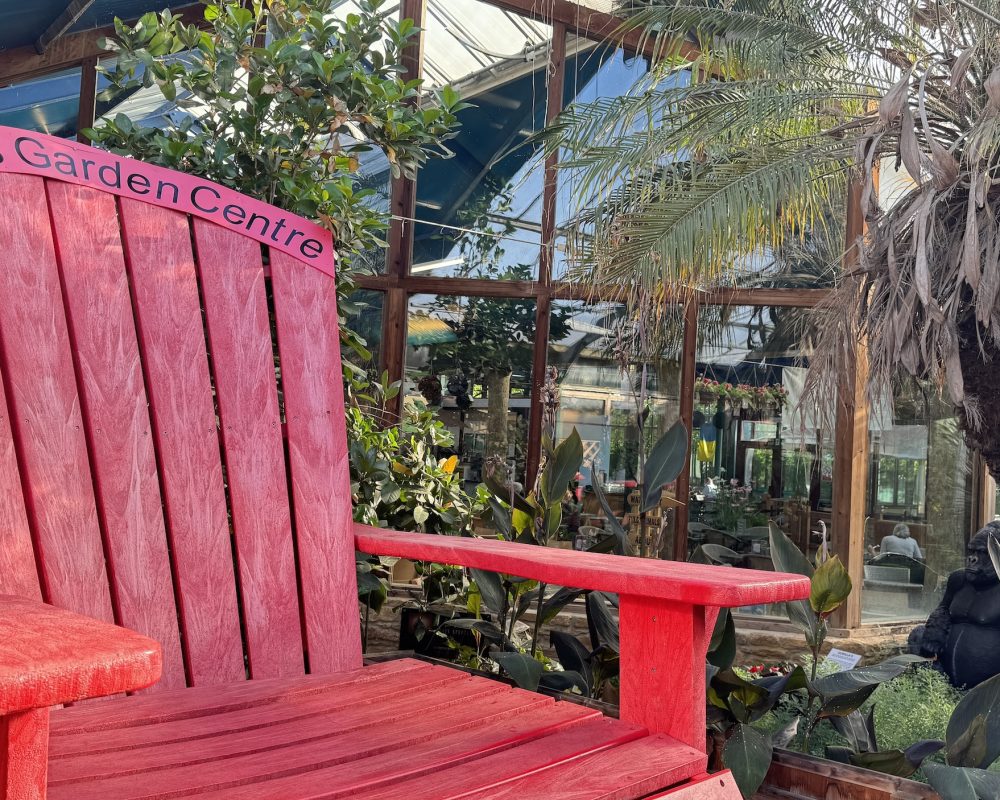 Big Red Chair primary Big Red Chair primary