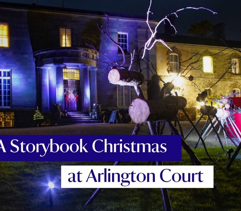 Christmas at Arlington Court  (1)