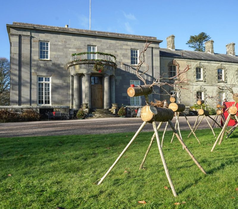 Christmas at Arlington Court 2026