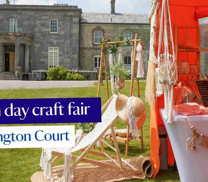 Devon day craft fair (3)