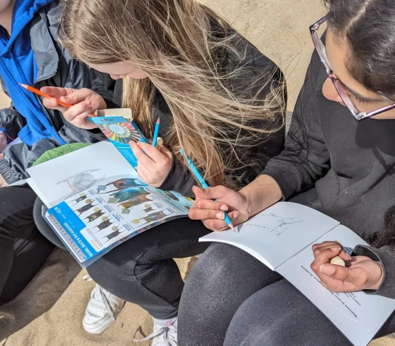 Explorers-Create-3-1536x864