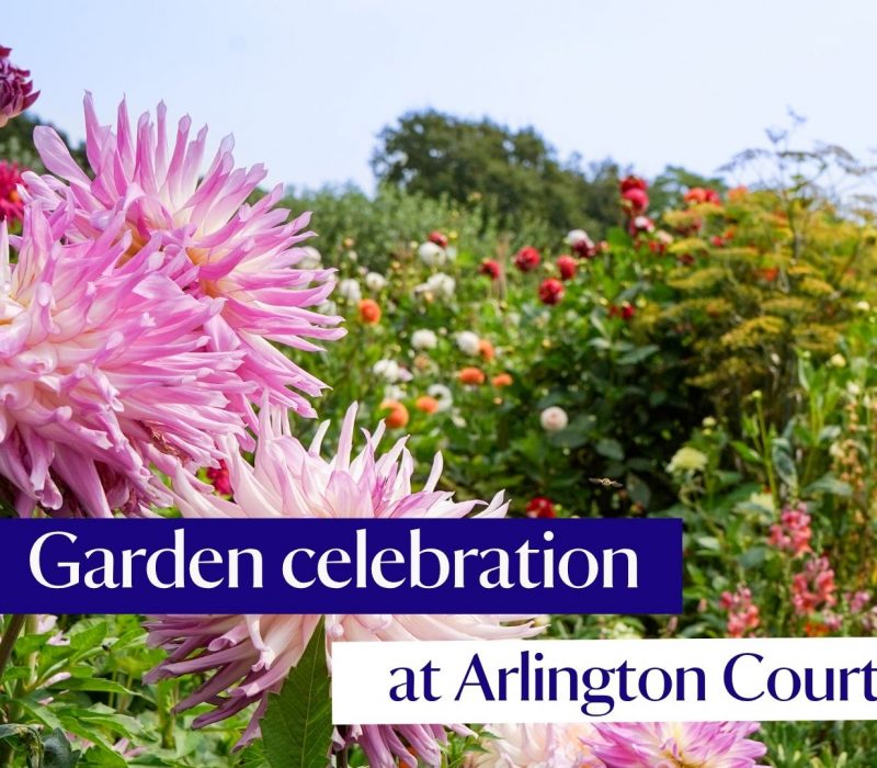 Garden celebration at Arlington  (1)