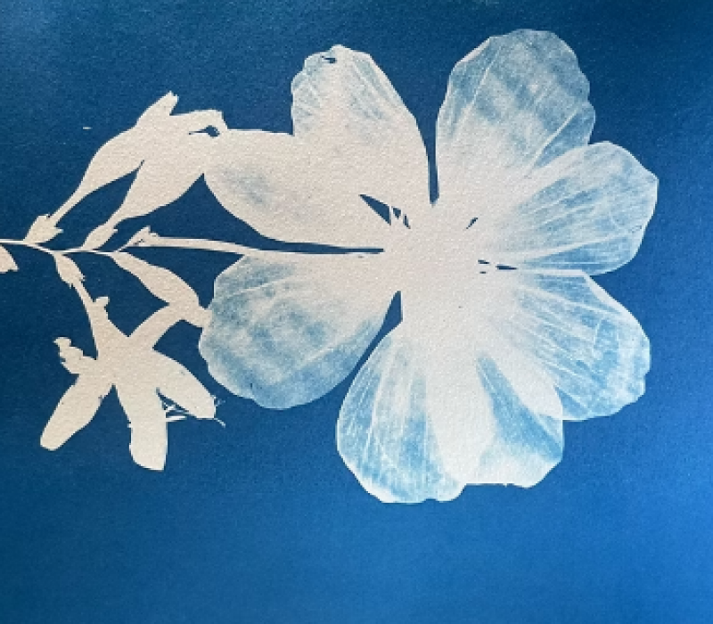 Screenshot 2025-08-22 11.43.23