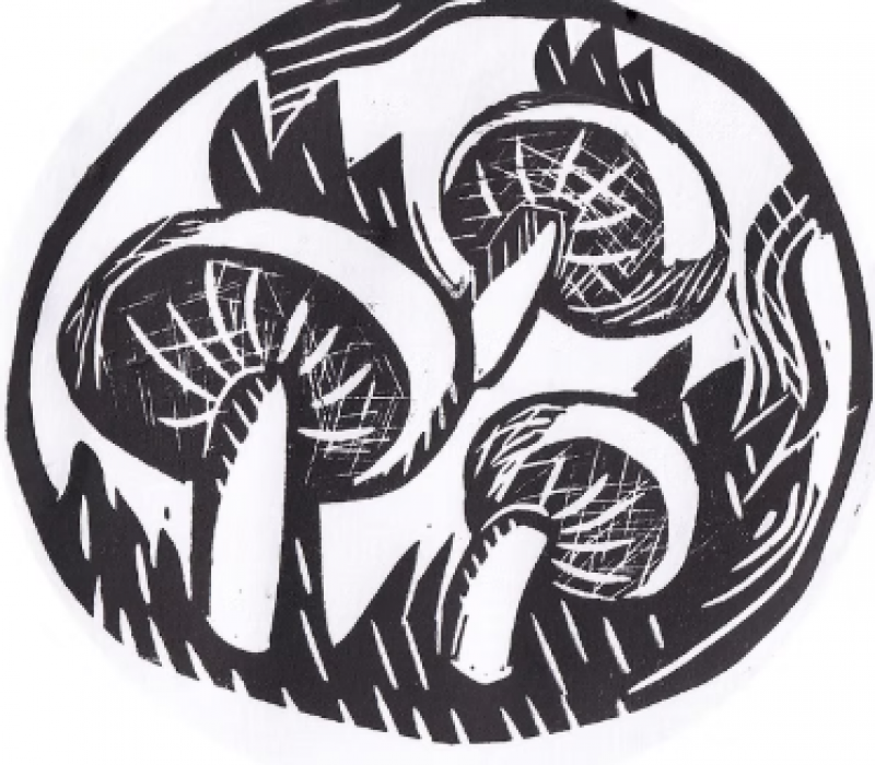 Screenshot 2025-08-22 12.36.13