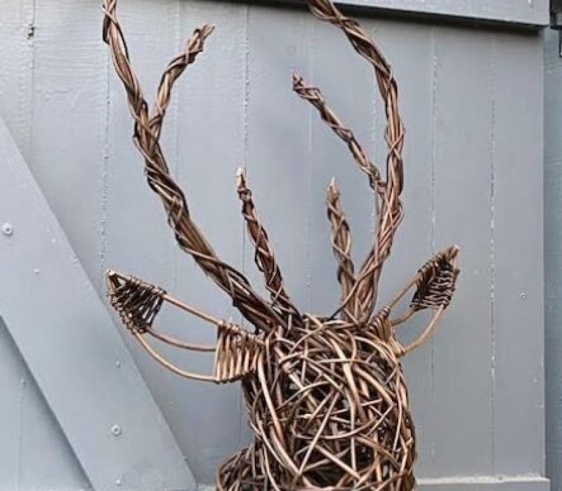 Stagshead3 Lucy Turner 300 dpi