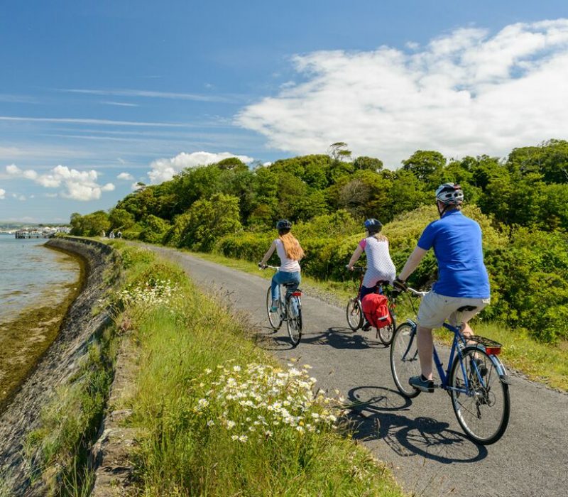 Tarka-Instow-by-Guy-Richardson