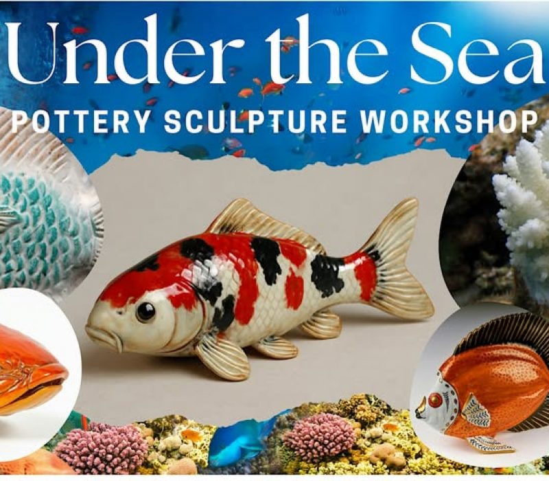 Under the Sea
