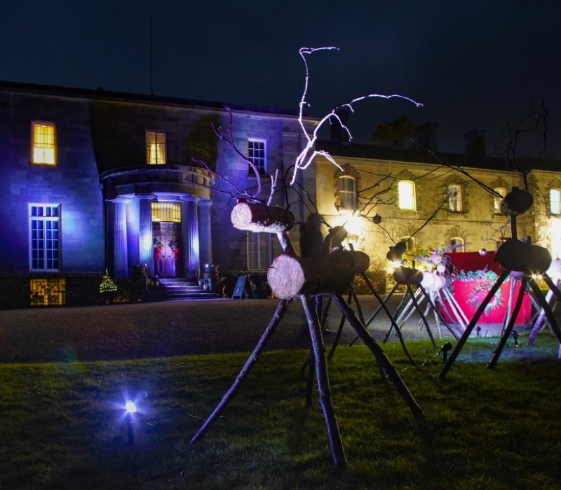 Visit Devon Christmas open evenings