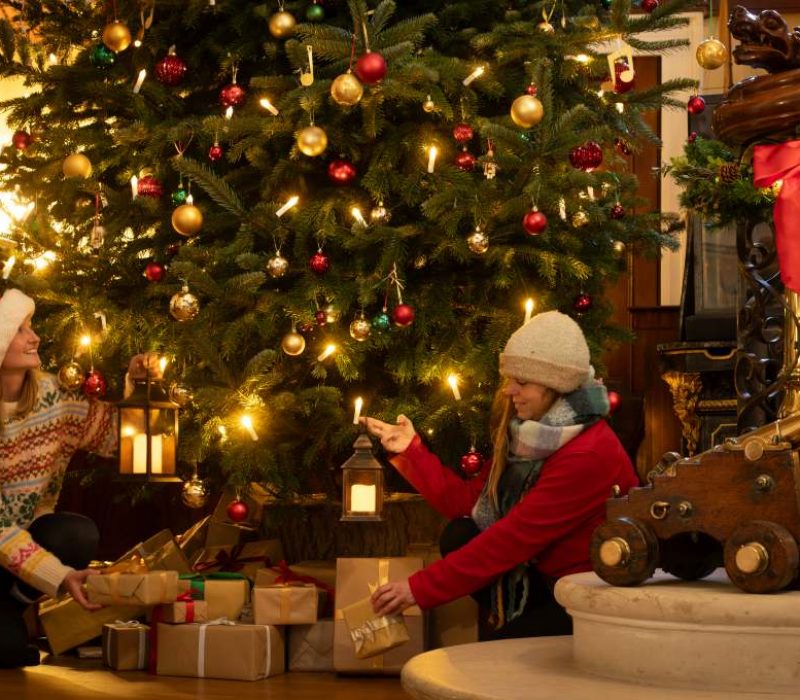 Visit devon Christmas