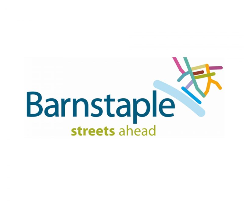 bsa-logo-white-background