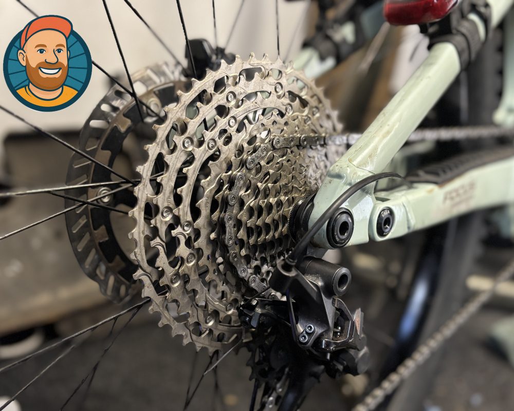 dansbikeworkshopbraunton