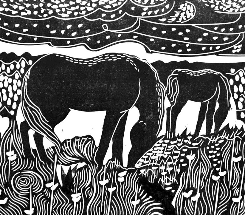grazing horses