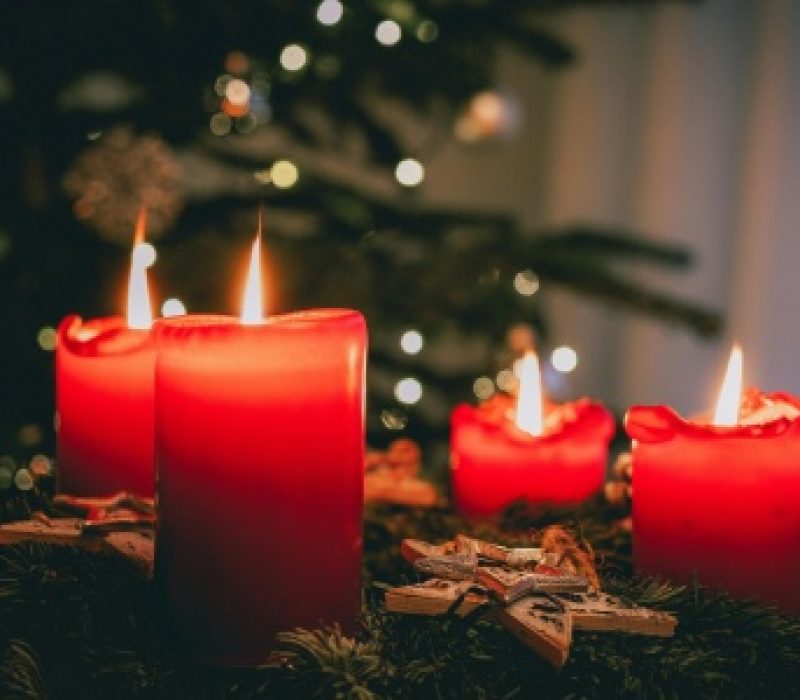 imageforyulepexels-jonasvonwerne-10637819