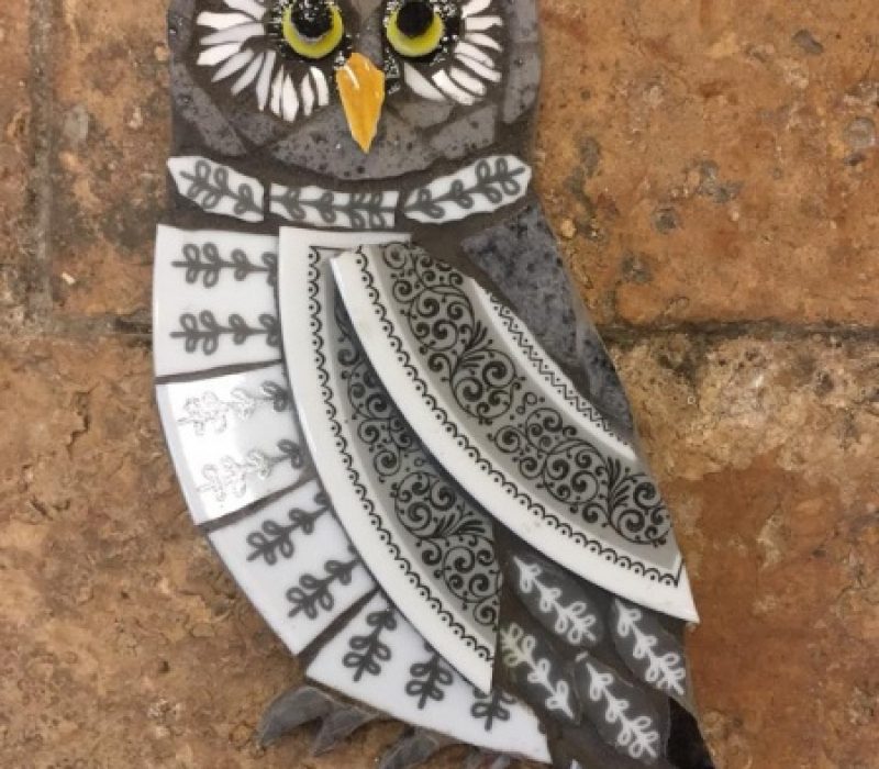 owl