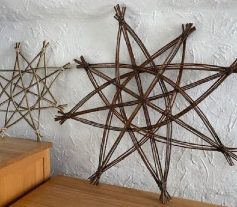 scandistar2lucyturner300dpi