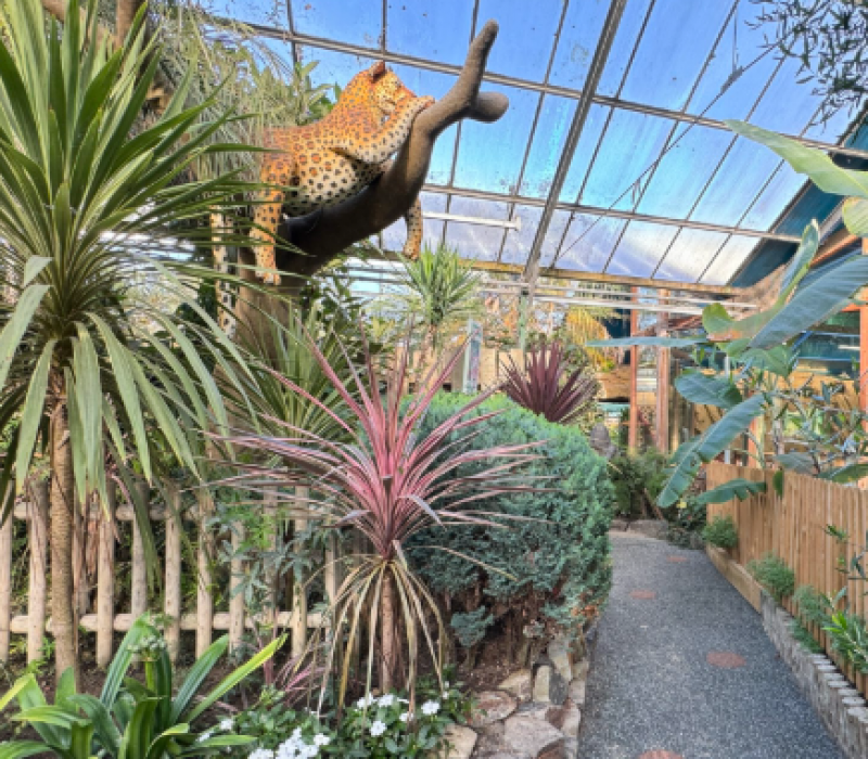 st johns garden centre